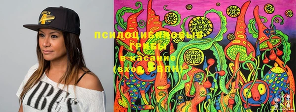 марки lsd Карпинск