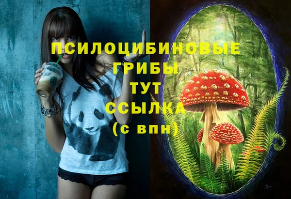 сатива Киреевск