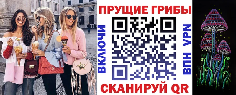 Псилоцибиновые грибы GOLDEN TEACHER  Купить где  Выборг 